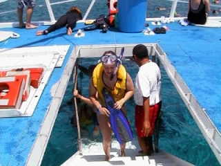  Retour de plongée en apnée 